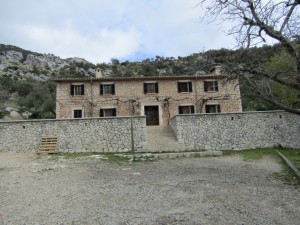 IMG_4558 (Medium)